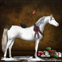 Horse Color:Chocolate Palomino Pearl Sabino