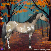 Horse Color:White Spotted Brown Dun 