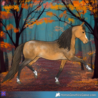 Horse Color:Buckskin Rabicano 