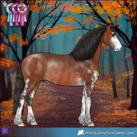 Horse Color:Bay Sabino Rabicano 
