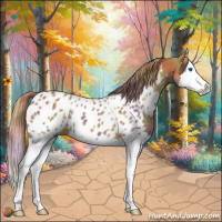 Horse Color:Nacre Chestnut Splash Appaloosa 