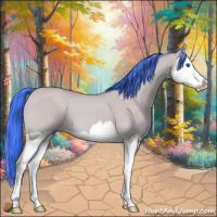 Horse Color:Watercolor Buckskin Dun Splash