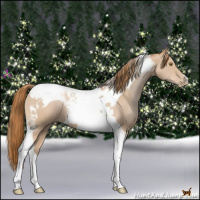 Horse Color:Chestnut Pearl Tobiano 