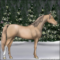 Horse Color:Red Roan Pearl 
