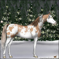 Horse Color:White Spotted Bay Pearl Splash 
