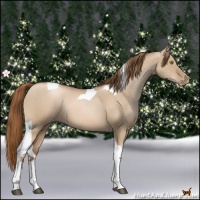 Horse Color:Liver Red Dun Pearl Tobiano 