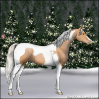 Horse Color:Silver Bay Pearl Tobiano