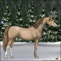 Horse Color:Black Pearl 