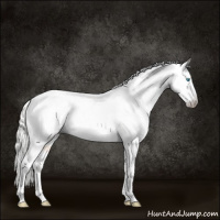 Horse Color:Gray Silver Buckskin Pearl Blanket Rabicano 