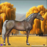 Horse Color:Liver Chestnut Mushroom 