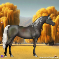 Horse Color:Void Liver Chestnut Mushroom 