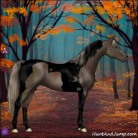 Horse Color:Void Liver Chestnut Tobiano 
