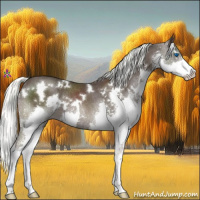 Horse Color:White Spotted Liver Chestnut Mushroom Splash Rabicano 