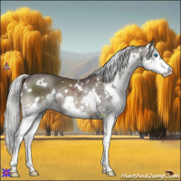 Horse Color:White Spotted Liver Chestnut Mushroom Splash Rabicano 