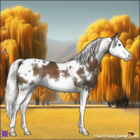 Horse Color:White Spotted Liver Chestnut Mushroom Sabino Splash 