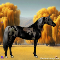 Horse Color:Void White Spotted Liver Chestnut Mushroom Splash 