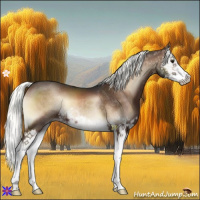 Horse Color:Liver Red Onyx Mushroom Splash 