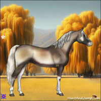 Horse Color:Liver Red Onyx Mushroom 