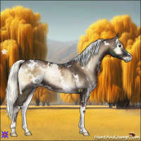 Horse Color:White Spotted Liver Red Onyx Mushroom 
