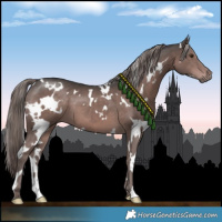 Horse Color:Platinum White Spotted Liver Chestnut 