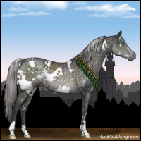 Horse Color:Platinum White Spotted Chocolate Palomino