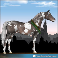 Horse Color:Platinum White Spotted Liver Chestnut 