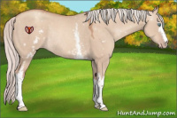 Horse Color:White Spotted Silver Classic Champagne Dun Rabicano 