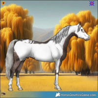 Horse Color:Liver Chestnut Mushroom Frame Appaloosa