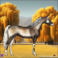 Horse Color:Liver Red Onyx Mushroom 