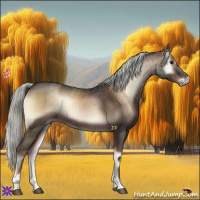 Horse Color:Liver Red Onyx Mushroom Rabicano 