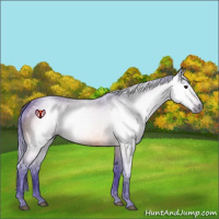 Horse Color:Gray Watercolor Brown 
