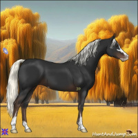 Horse Color:Liver Chestnut Mushroom Sabino 