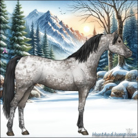 Horse Color:Grullo Ice 