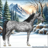 Horse Color:Black Ice 