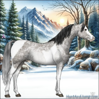 Horse Color:Grullo Ice Splash Tobiano 
