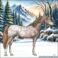 Horse Color:Red Ice Roan 