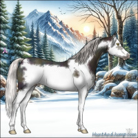 Horse Color:Midnight Silver Amber Champagne Ice Splash Frame