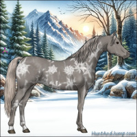 Horse Color:Silver Black Ice 