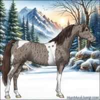 Horse Color:Classic Champagne Ice Tobiano 