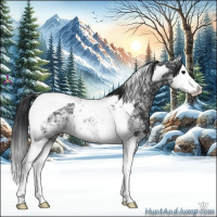 Horse Color:Black Ice Splash Tobiano 
