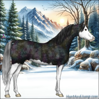 Horse Color:Midnight Grullo Ice Splash 
