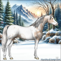 Horse Color:Silver Classic Champagne Ice Roan Splash Tobiano Appaloosa 