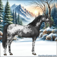 Horse Color:Blue Ice Roan 
