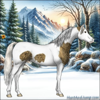 Horse Color:Palomino Ice Splash Tobiano 