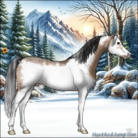 Horse Color:Bay Ice Dun Splash Frame 