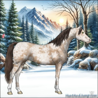 Horse Color:Amber Champagne Ice 