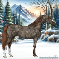 Horse Color:Red Dun Ice 