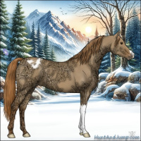 Horse Color:Red Dun Ice Varnish 