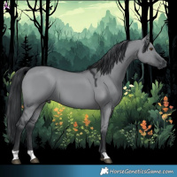 Horse Color:Grullo Chinchilla 