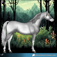 Horse Color:Silver Grullo Chinchilla Onyx 